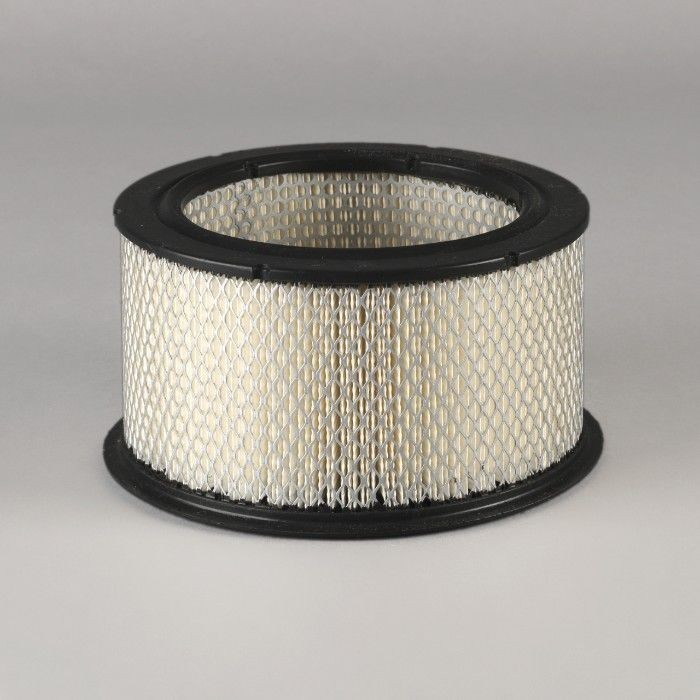 Filtru aer Donaldson P500245 pentru Hifi Filter SA19438