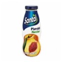 Nectar de Piersici 50%, Santal, 0.2 l