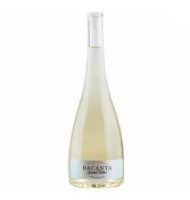 Vin Girboiu Bacanta, Special Edition Sarba, Alb Sec, 0.75l