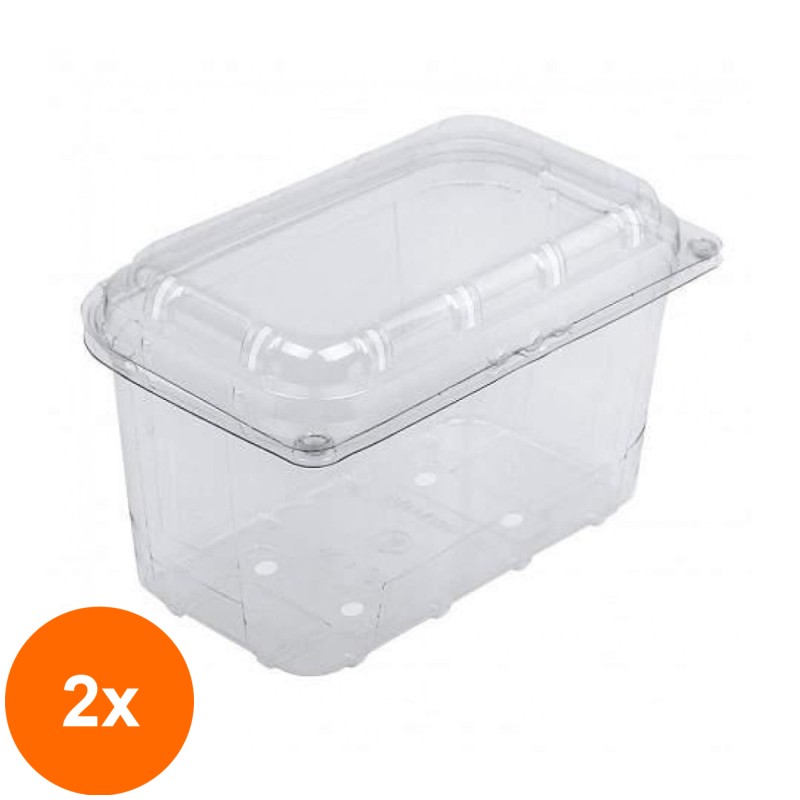 Set 2 x 480 Caserole din Plastic cu Capac Atasat pentru Fructe, 1000 g, 190 x 117 x 125 mm