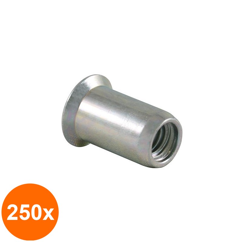 Set 250 x Piulite-nit Cap Tesit Inox-M 8 x 16