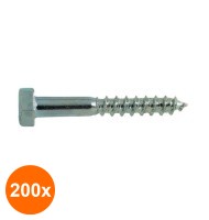 Set 200 x Holsurub cu Cap...