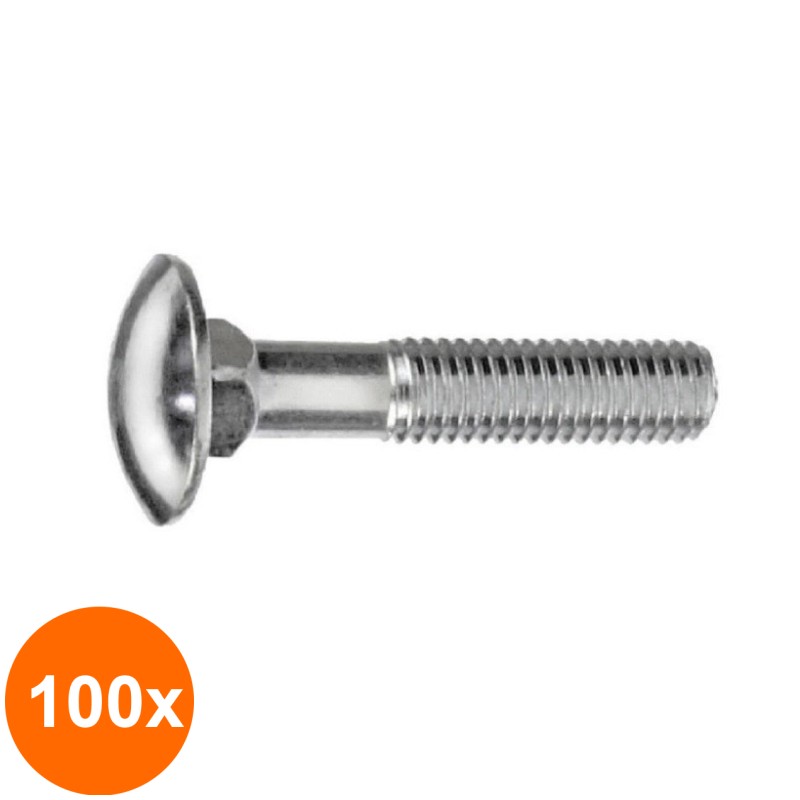 Set 100 x Surub Torbant fara Piulita 603 Inox A2 -M6 x 35