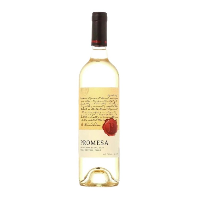 Vin Sol De Chile, Promessa Sauvignon Blanc, Alb, 0.75 l