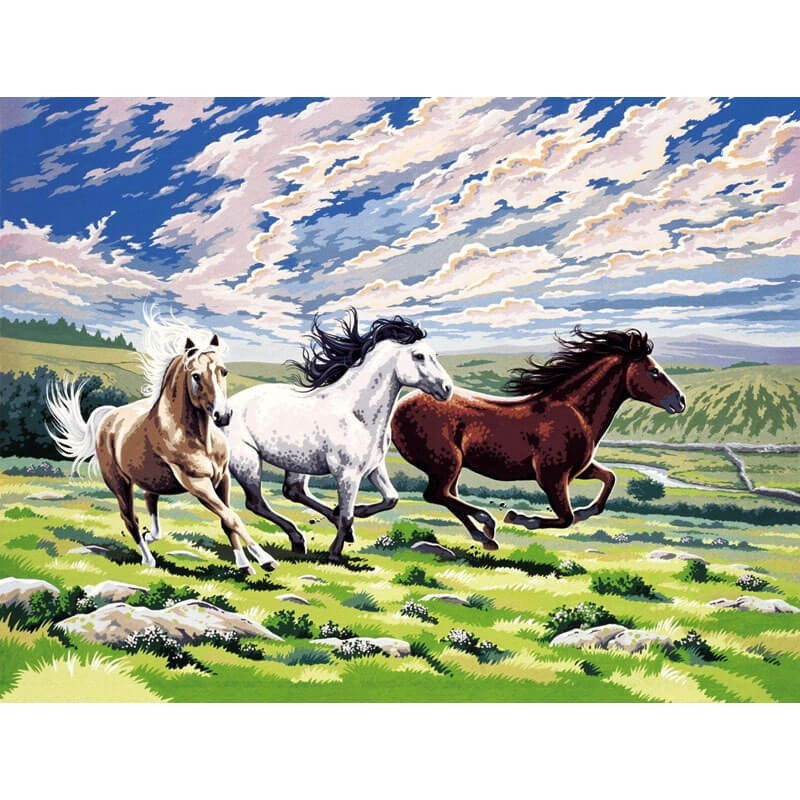 Pictura pe Numere Cai in Galop, 10 Culori, 30 x 40 cm