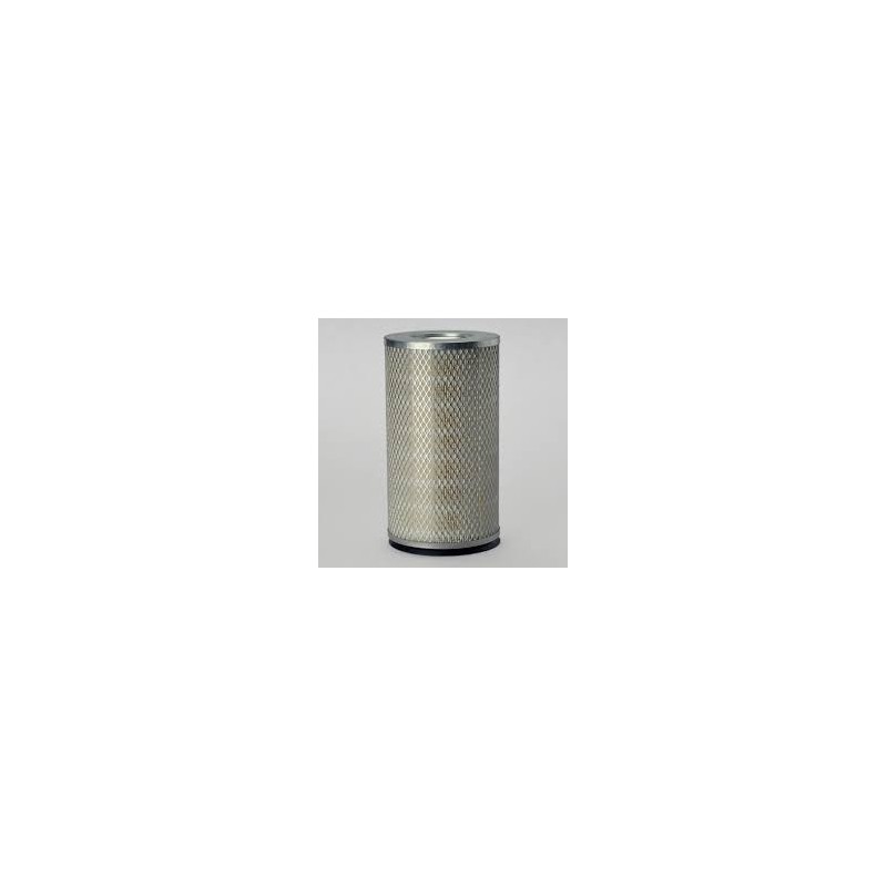 Filtru aer Donaldson P181119 pentru Hifi Filter SA10871